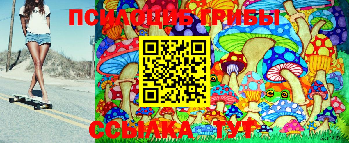 Галлюциногенные грибы MAGIC MUSHROOMS  Псилоцибиновые грибы прущие грибы  Вход с VPN  Каспийск 