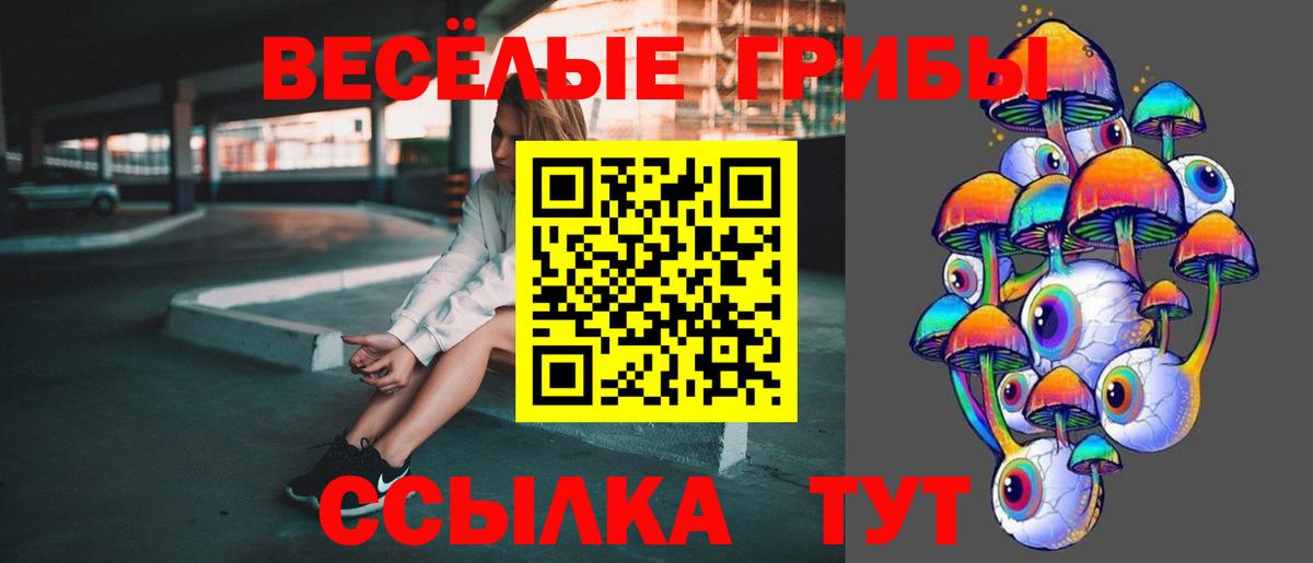 Галлюциногенные грибы прущие грибы Каспийск