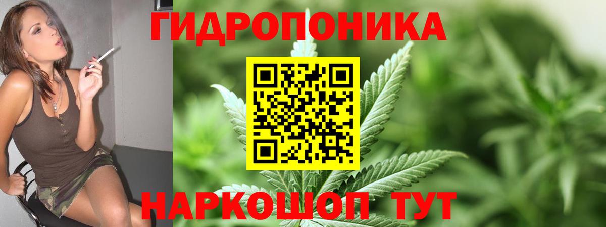 Бошки марихуана ГИДРОПОН  Шишки марихуана конопля  Вход с VPN  Каспийск 